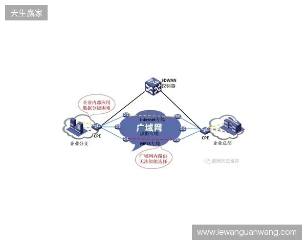 贝锐蒲公英游戏联机方案深度测评:2025年SD-WAN技术如何重新定义跨平台游戏体验